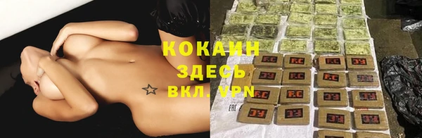 ГАЛЛЮЦИНОГЕННЫЕ ГРИБЫ Карпинск