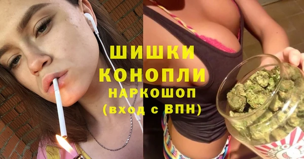 ГАЛЛЮЦИНОГЕННЫЕ ГРИБЫ Карпинск