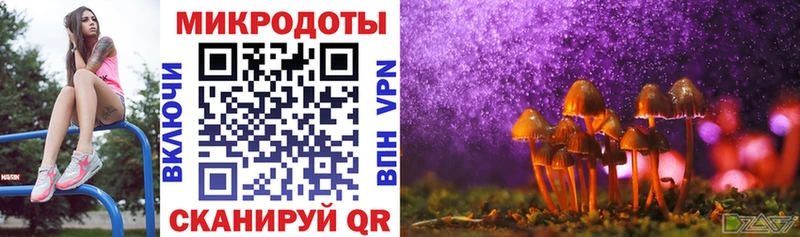 Псилоцибиновые грибы MAGIC MUSHROOMS  Купить закладки  Мегион 